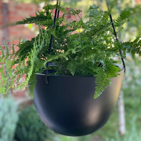 Black Bonnie Hanging Basket